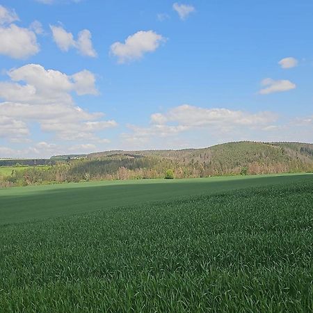 Ferienhaus-Wurzbach Exteriör bild