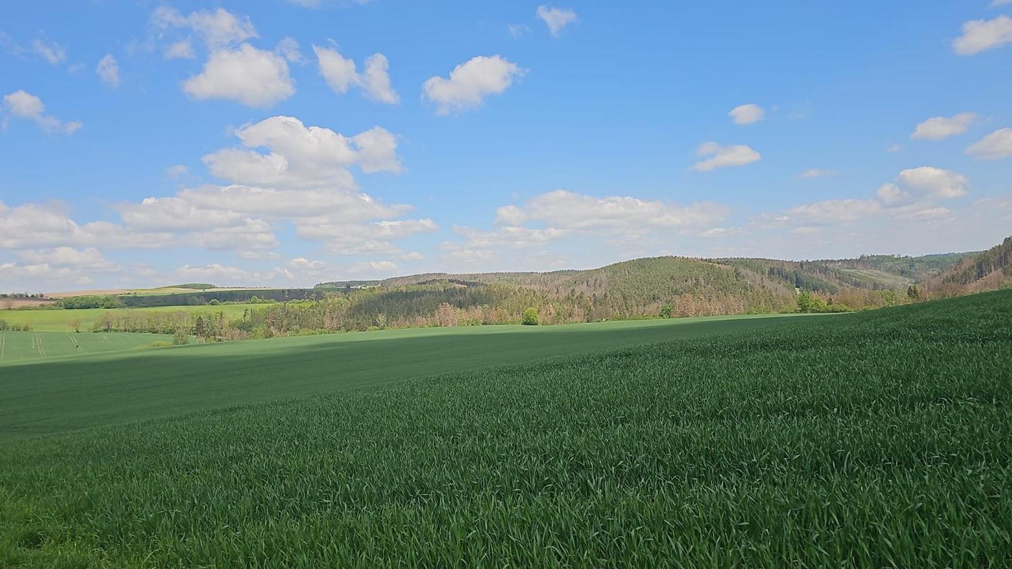 Ferienhaus-Wurzbach Exteriör bild